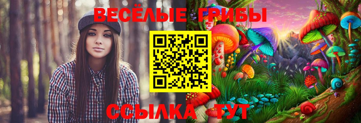 Псилоцибиновые грибы мухоморы Сочи