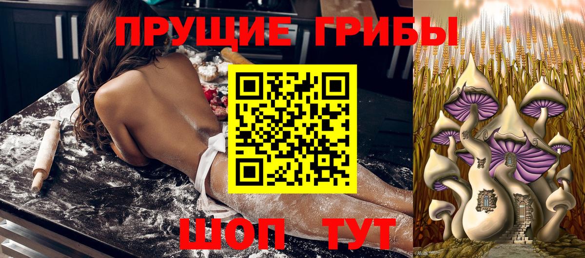 Галлюциногенные грибы Psilocybine cubensis  Вход с VPN  Псилоцибиновые грибы GOLDEN TEACHER  купить наркотик  Сочи 