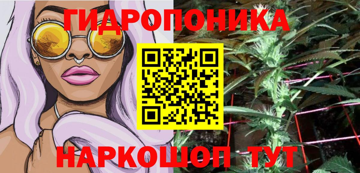 Сочи  Каннабис сатива  Каннабис планчик  Конопля марихуана  Вход с VPN 